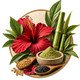 Pure Botanicals