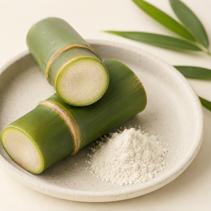Bamboo Shoot