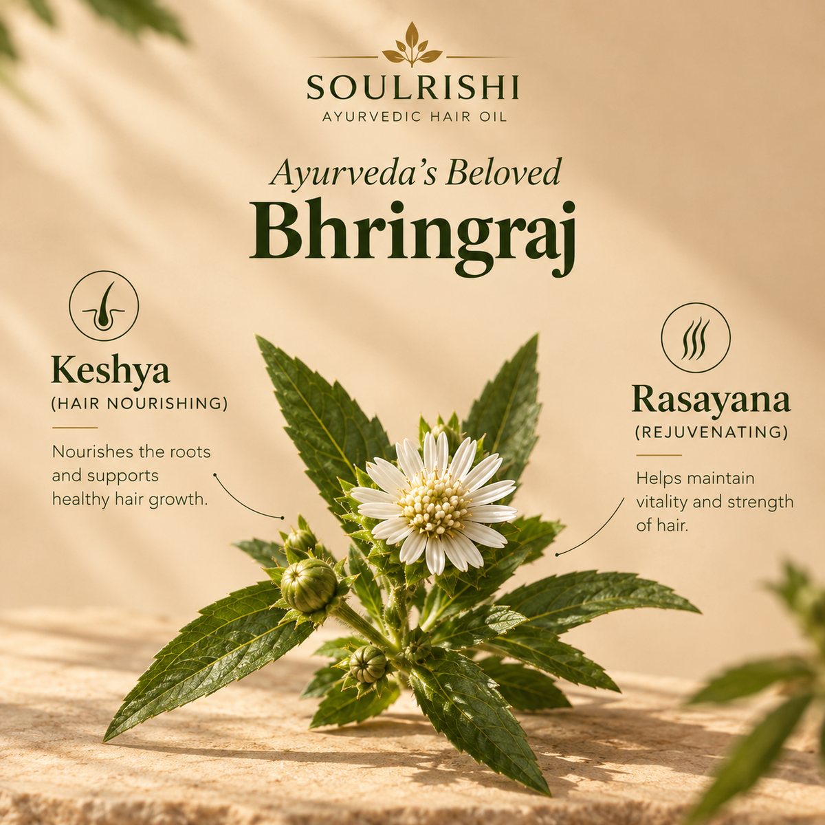 Soul Rishi Bhringraj and Castor Oil Hair Elixir